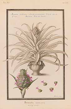 no HD illustration available (4)