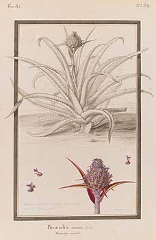 no HD illustration available (4)