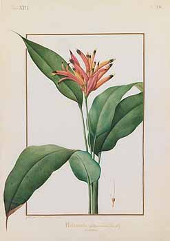 no HD illustration available (4)