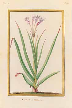 no HD illustration available (4)