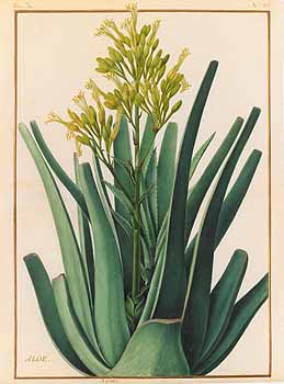 no HD illustration available (4)