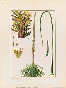 no HD illustration available (4)