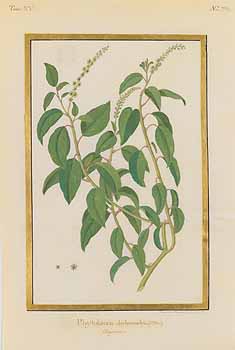 no HD illustration available (4)