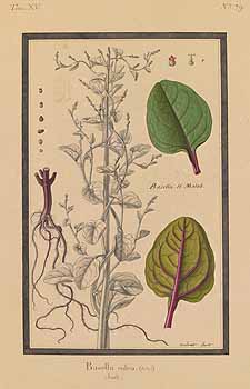 no HD illustration available (4)