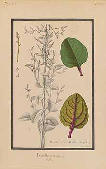 no HD illustration available (4)