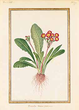 no HD illustration available (4)