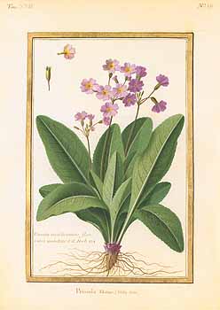 no HD illustration available (4)