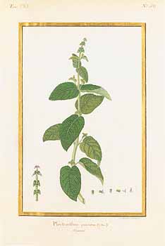 no HD illustration available (4)