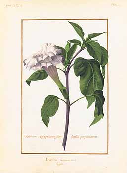 no HD illustration available (4)