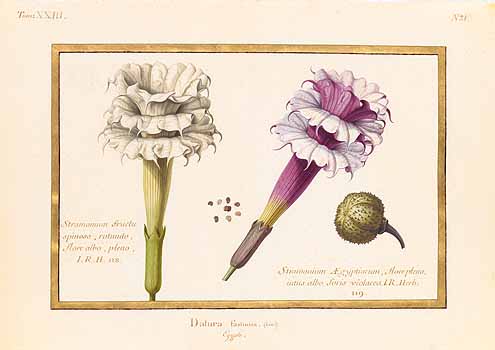 no HD illustration available (4)