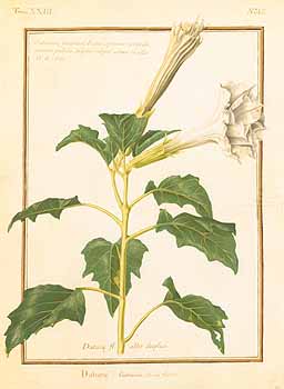 no HD illustration available (4)