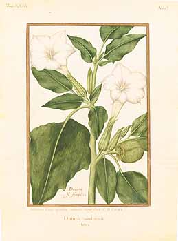 no HD illustration available (4)