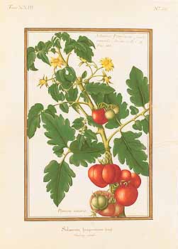 no HD illustration available (4)