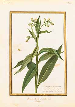 no HD illustration available (4)