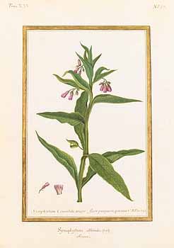 no HD illustration available (4)