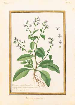 no HD illustration available (4)