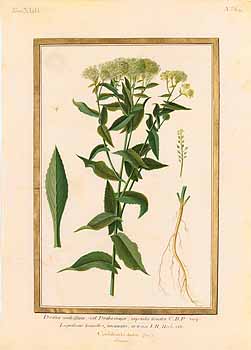 no HD illustration available (4)