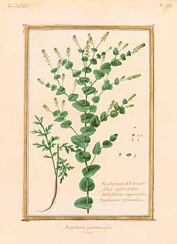 no HD illustration available (4)