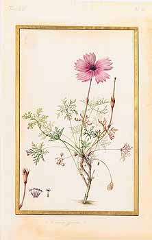 no HD illustration available (4)