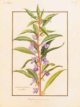 no HD illustration available (4)