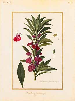 no HD illustration available (4)