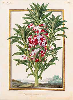 no HD illustration available (4)