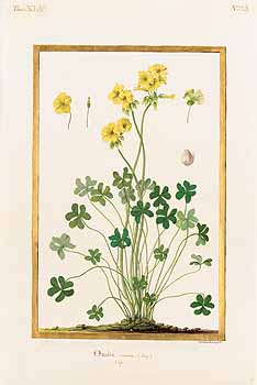 no HD illustration available (4)