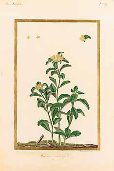 no HD illustration available (4)