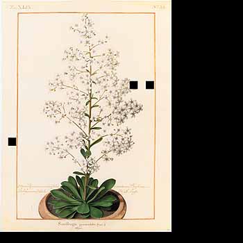 no HD illustration available (4)