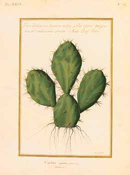 no HD illustration available (4)