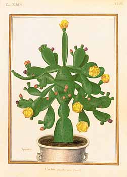 no HD illustration available (4)