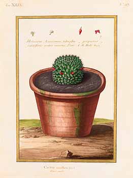 no HD illustration available (4)