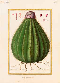 no HD illustration available (4)