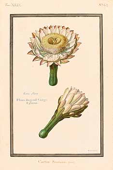 no HD illustration available (4)