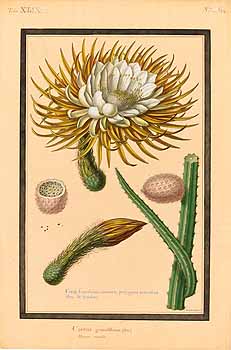 no HD illustration available (4)