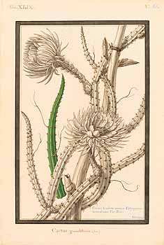 no HD illustration available (4)