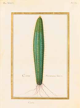 no HD illustration available (4)