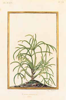 no HD illustration available (4)