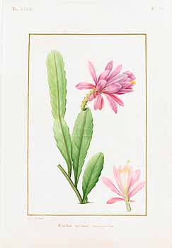 no HD illustration available (4)