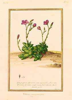 no HD illustration available (4)