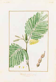 no HD illustration available (4)