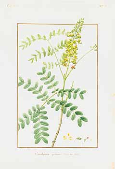 no HD illustration available (4)