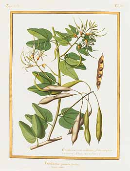 no HD illustration available (4)