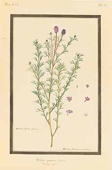 no HD illustration available (4)