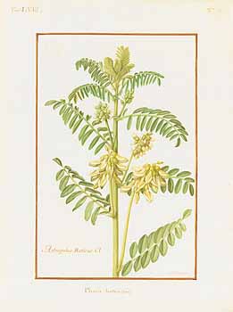 no HD illustration available (4)