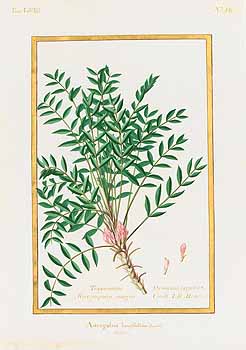 no HD illustration available (4)