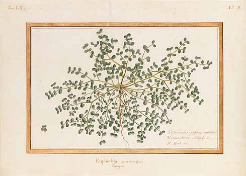 no HD illustration available (4)