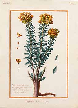 no HD illustration available (4)