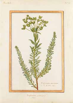 no HD illustration available (4)