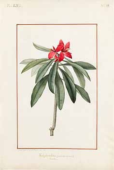 no HD illustration available (4)